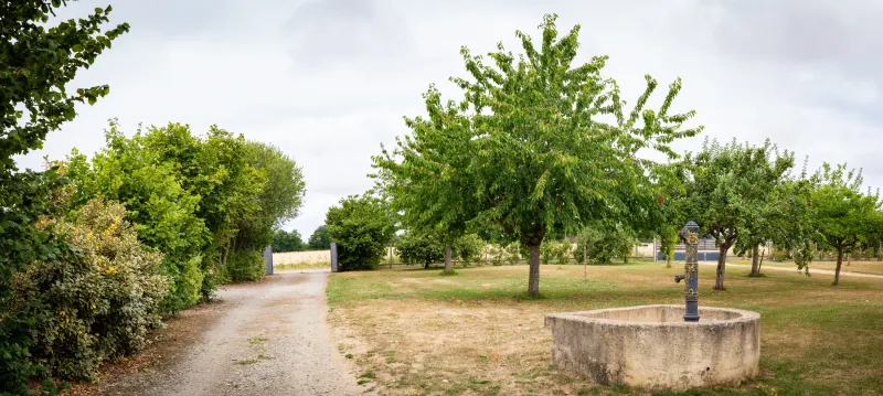 Le Chêne Pulvé